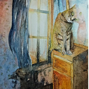 le reflet du chat