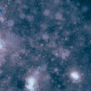 starry night