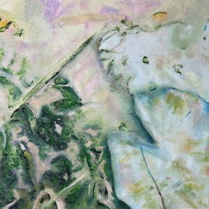 Water lily no.1