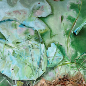 Water lily no.1