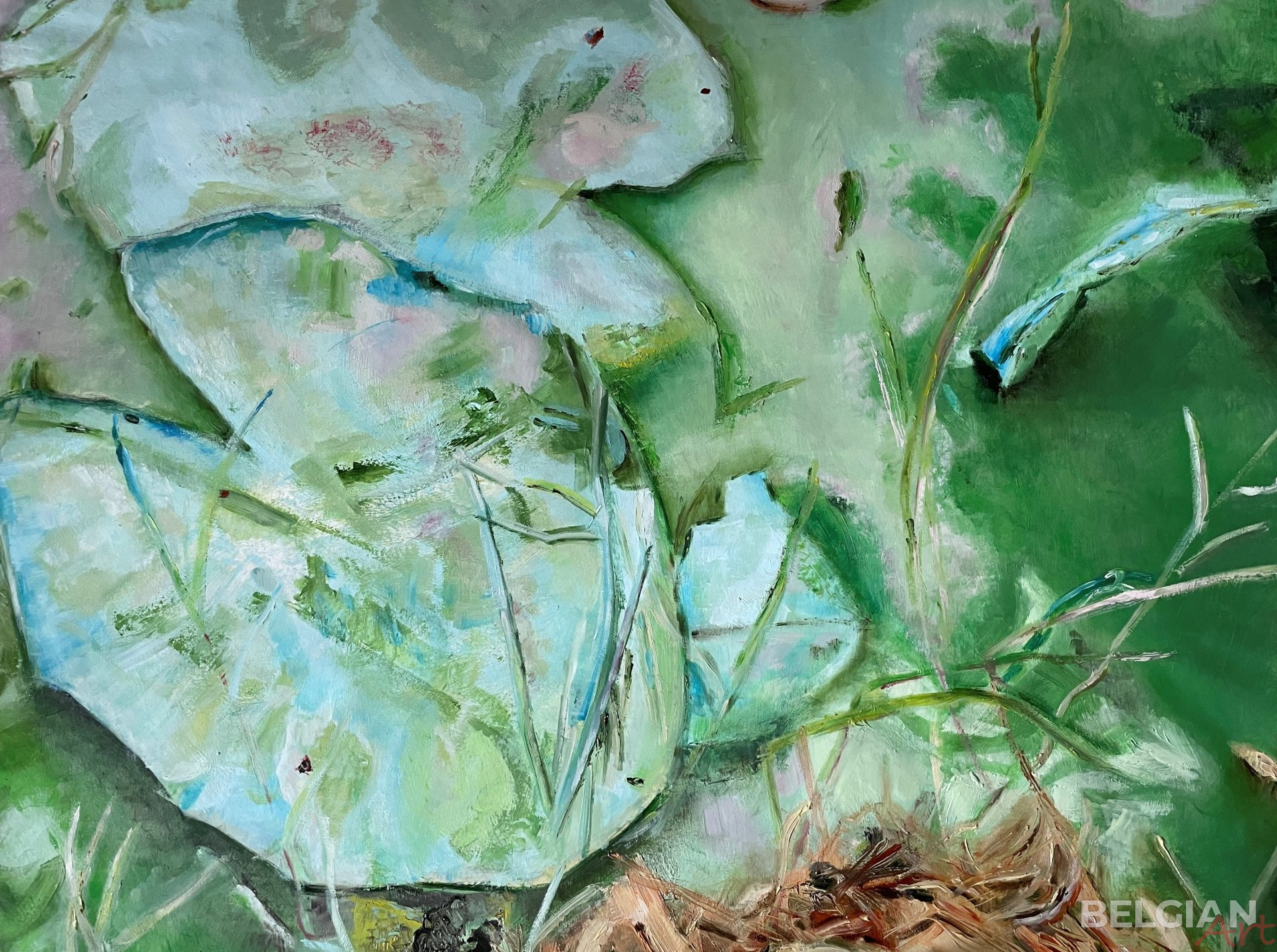 Water lily no.1