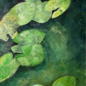 Water lily's no.1