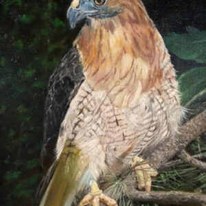 roofvogel
