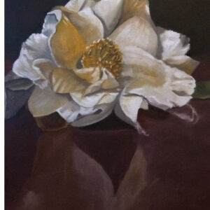 witte bloem
