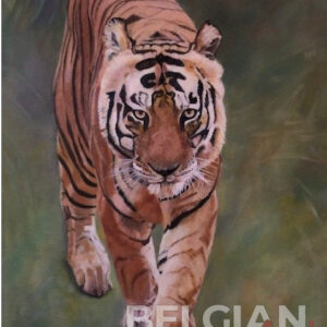 tijger