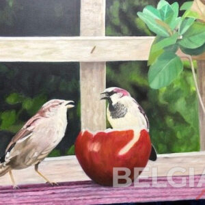 vogels