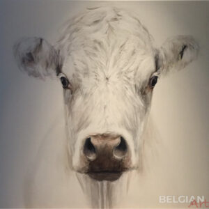 Witte koe