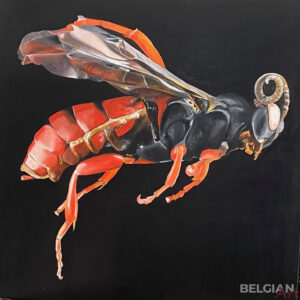 Fly