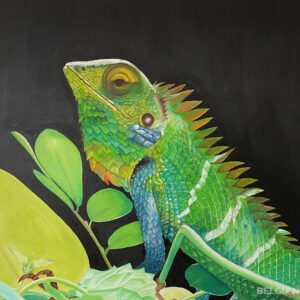 Salamander