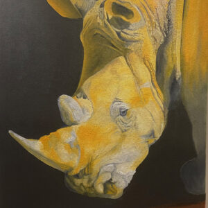Rhinoceros