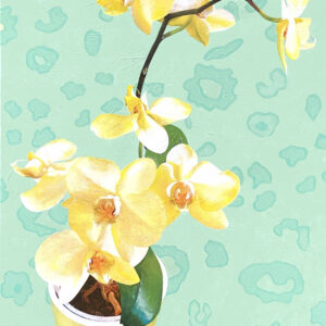 Yellow Orchids