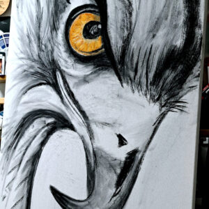 Furia