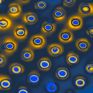multivision