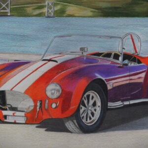 Schelby Cobra (427)