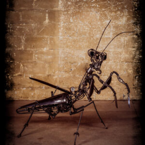 Hypocritical Mantis