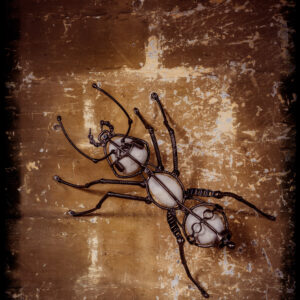 Hybride Ant