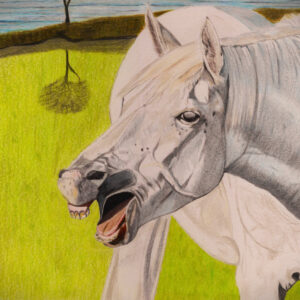 Horse laugh.