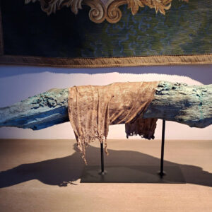 A wounded tree