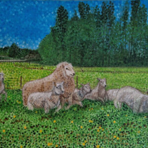 Les moutons d'Emile