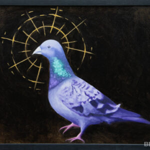 Pigeon