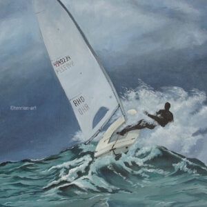 Wild sea sailing