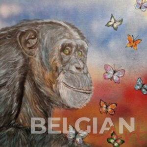 L'effet papillon 1