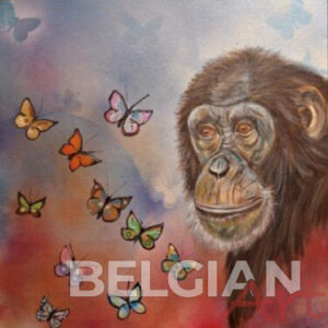 L'effet papillon 3