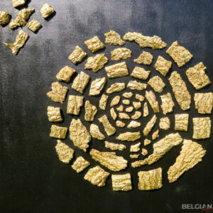 Circle of Wisdom