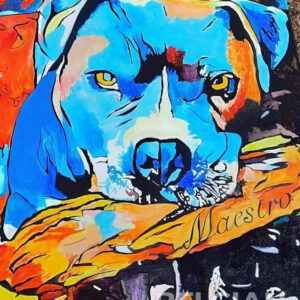 Maestro (American Stafford)