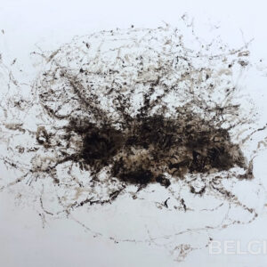 Spilt Inkt