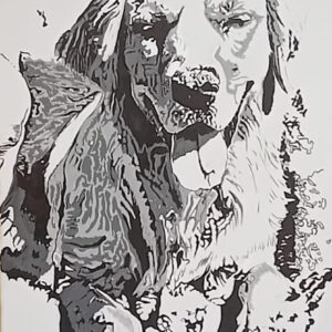 Labrador