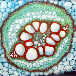 Under my microscope