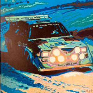 Night time rally Audi