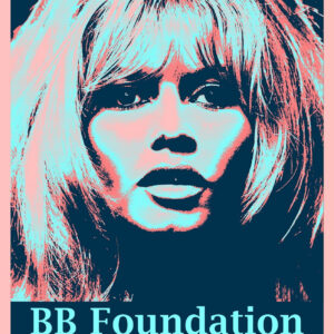 BB foundation