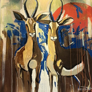 AFRICAN COLLECTION