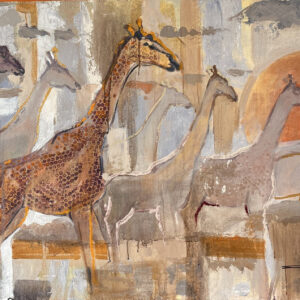 AFRICAN COLLECTION