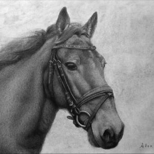 Raffles - Hackney Stallion