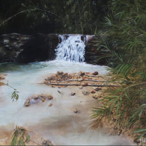 A small waterfall in the jungle
