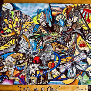 Orde Van De Chaos