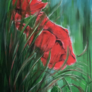 Poppies and rabbit