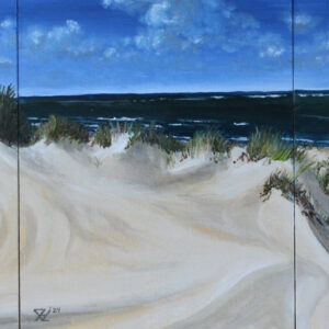 Windy coast