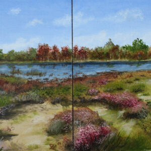 Dune lake
