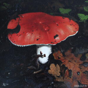 Russula