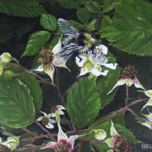 Hommel