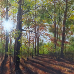 Autumn sun
