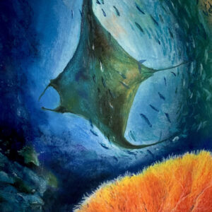 La Raie Manta