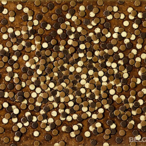 belgian chocolates