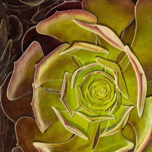 green succulent