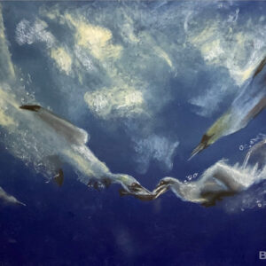 Les Cormorans