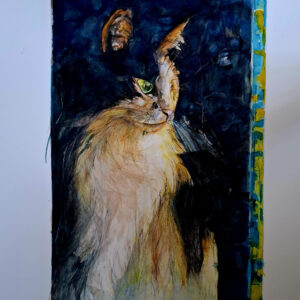 Le chat